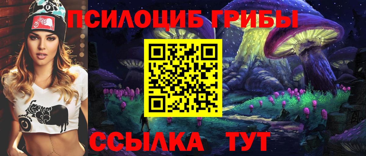 Псилоцибиновые грибы MAGIC MUSHROOMS  Вход с VPN  Гатчина  Галлюциногенные грибы Psilocybe 