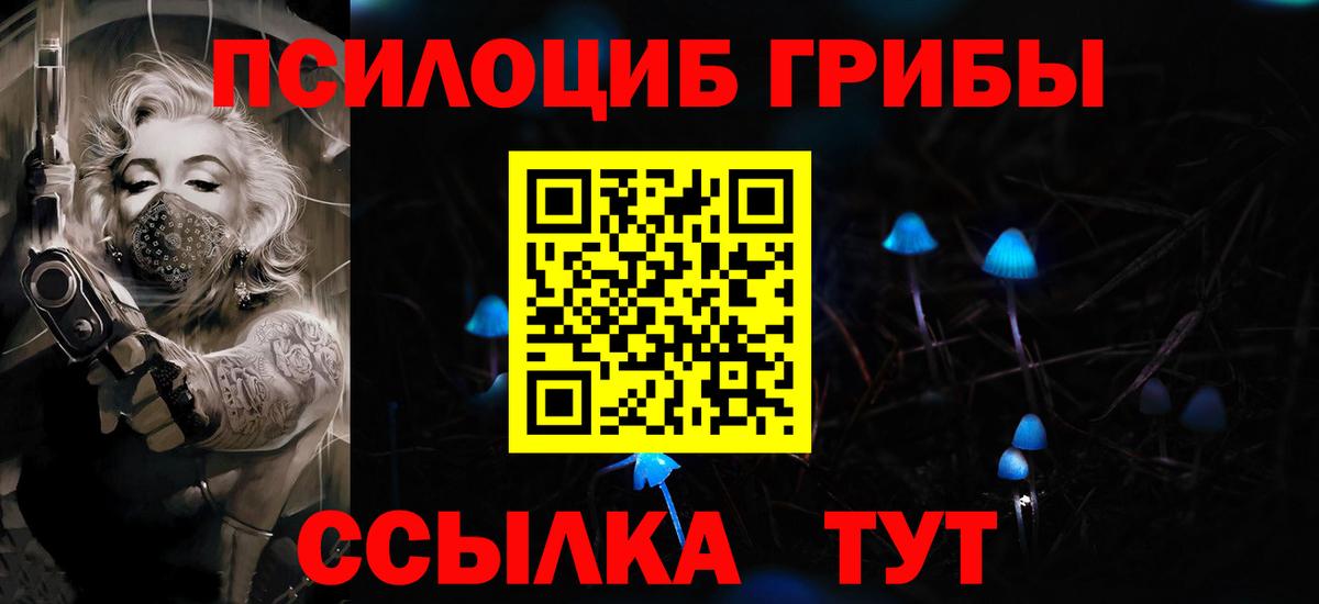Галлюциногенные грибы GOLDEN TEACHER Гатчина